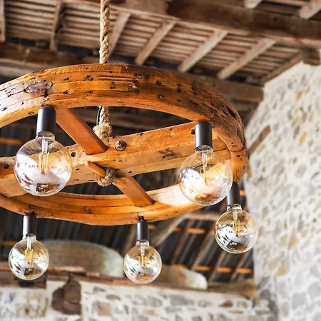 Bed & Breakfast La Ferme Des Hautins - -d'hotes Rieucaze