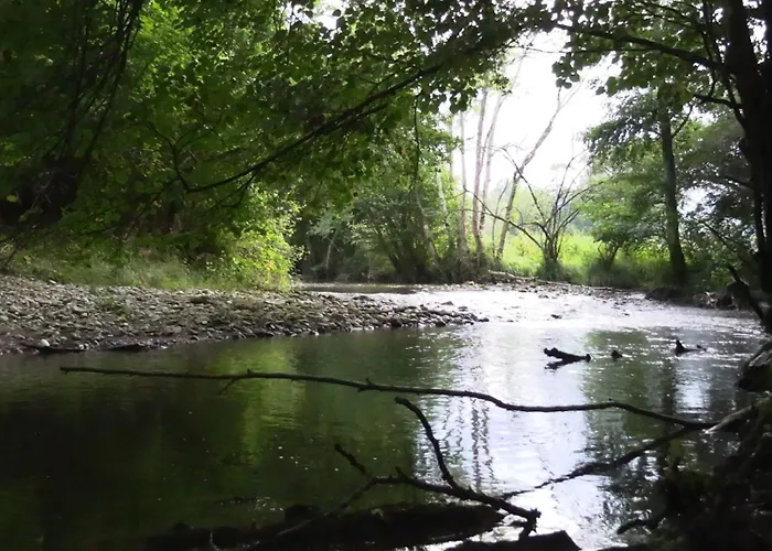La Ferme Des Hautins - -d'hotes 3*
