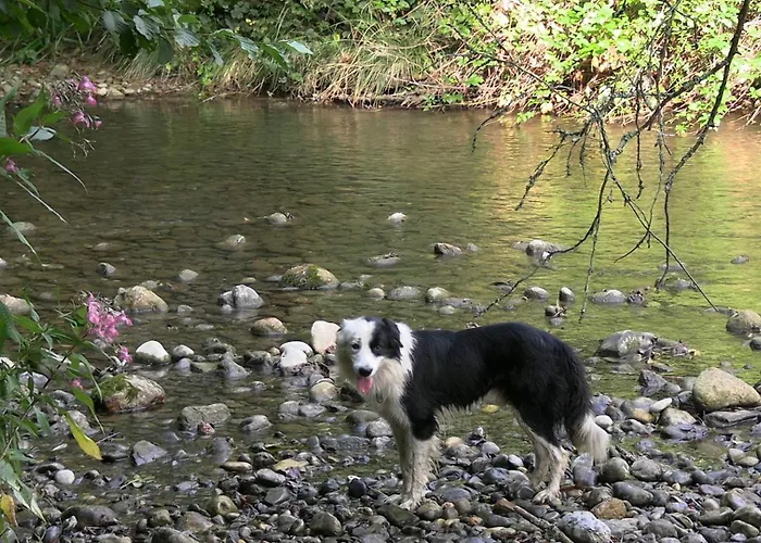 La Ferme Des Hautins - -d'hotes B&B