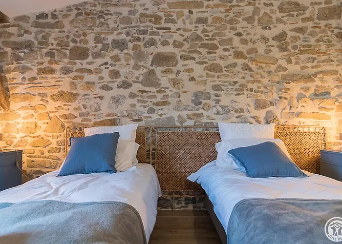 La Ferme Des Hautins - -d'hotes 3* Rieucaze