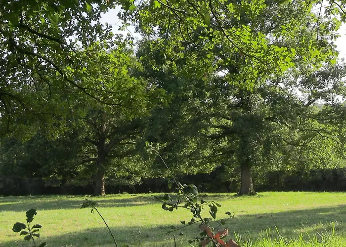 B&B La Ferme Des Hautins - -d'hotes