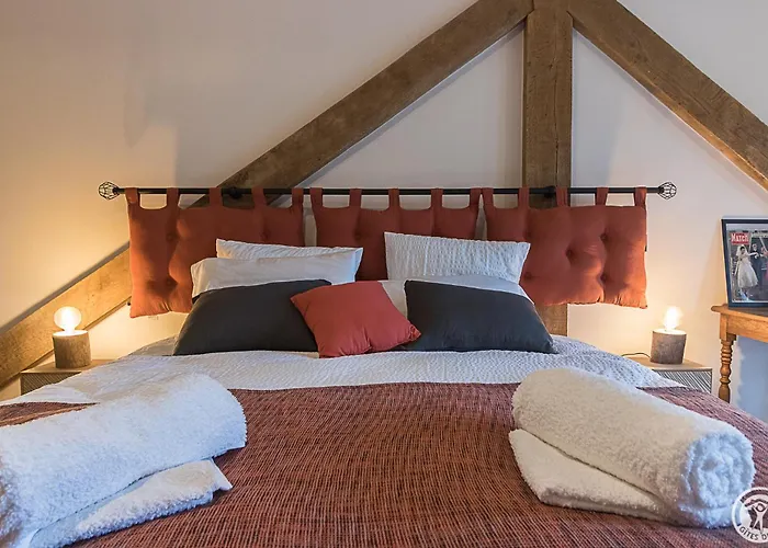 La Ferme Des Hautins - -d'hotes 3* Rieucaze