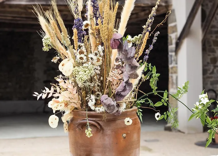 B&B La Ferme Des Hautins - -d'hotes Rieucaze