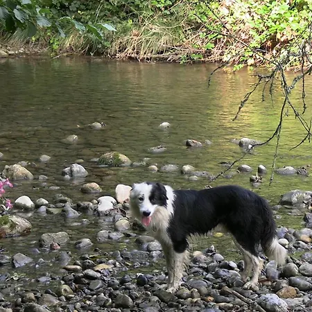 La Ferme Des Hautins - -d'hotes Отель типа 