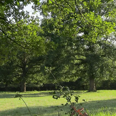 Bed & Breakfast La Ferme Des Hautins - -d'hotes