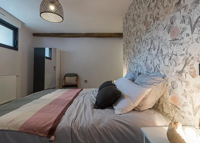 La Ferme Des Hautins - -d'hôtes Rieucaze